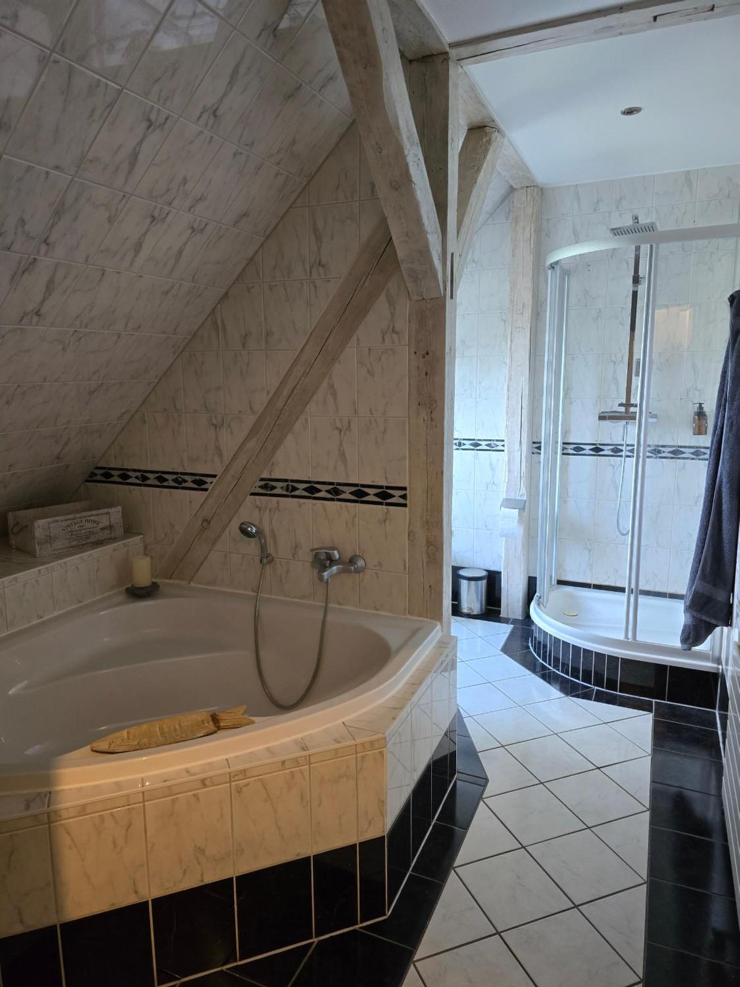 Villa Palais Picard Westfluegel Thale Esterno foto